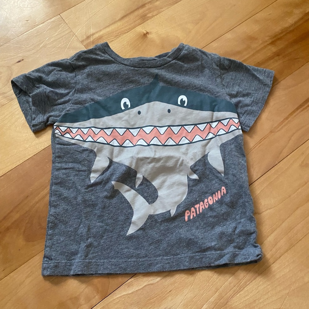 Patagonia organic cotton tee - EUC - 2T
